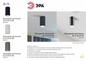 Накладной светильник Эра OL15 GU10 BK Б0049040 в Талице - talica.ok-mebel.com | фото 5