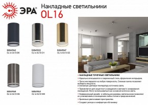 Накладной светильник Эра OL16 GU10 BK Б0049042 в Талице - talica.ok-mebel.com | фото 3