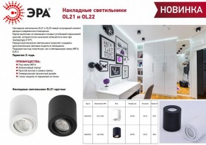 Накладной светильник Эра OL21 WH Б0054392 в Талице - talica.ok-mebel.com | фото 2