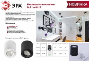 Накладной светильник Эра OL22 BK Б0054395 в Талице - talica.ok-mebel.com | фото 3