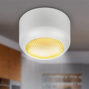 Накладной светильник Эра  OL56 WH в Талице - talica.ok-mebel.com | фото 8