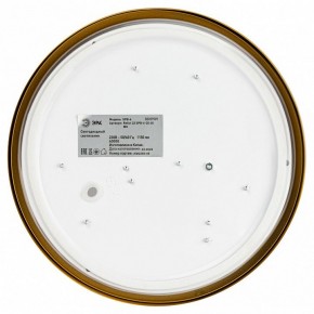 Накладной светильник Эра Relict Relict 22 SPB-6-20 4К MG в Талице - talica.ok-mebel.com | фото 4