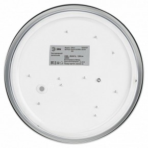 Накладной светильник Эра Relict Relict 22 SPB-6-20 4К WH в Талице - talica.ok-mebel.com | фото 4