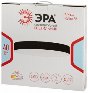 Накладной светильник Эра Relict Relict 38 SPB-6-40 4К BK в Талице - talica.ok-mebel.com | фото 6