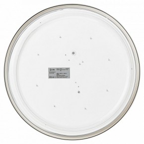 Накладной светильник Эра Relict Relict 38 SPB-6-40 4К WH в Талице - talica.ok-mebel.com | фото 4