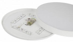 Накладной светильник Эра Relict Relict 48 Pult SPB-6-60-RC WH в Талице - talica.ok-mebel.com | фото 11