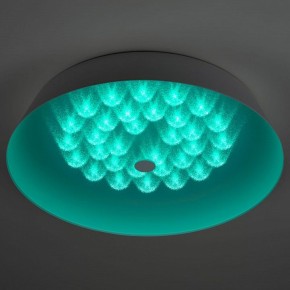 Накладной светильник Эра  SPB-6-60-RC Locus RGB в Талице - talica.ok-mebel.com | фото 8