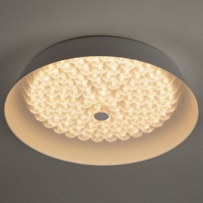 Накладной светильник Эра  SPB-6-80-RC Locus RGB в Талице - talica.ok-mebel.com | фото 3