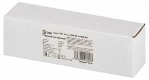 Накладной светильник Эра  TRM-S5-1-6W4K-BK в Талице - talica.ok-mebel.com | фото 6