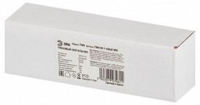 Накладной светильник Эра  TRM-S5-1-6W4K-WH в Талице - talica.ok-mebel.com | фото 6
