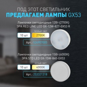 Накладной светильник Эра WL40 BK Б0054414 в Талице - talica.ok-mebel.com | фото 4