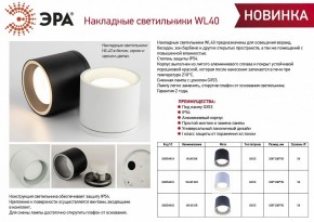 Накладной светильник Эра WL40 WH Б0054415 в Талице - talica.ok-mebel.com | фото 3