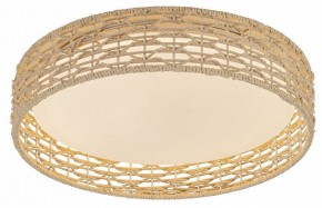 Накладной светильник F-promo Conrad 4749-4C в Талице - talica.ok-mebel.com | фото 2