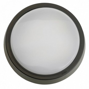 Накладной светильник Feron AL3020 51473 в Талице - talica.ok-mebel.com | фото 4