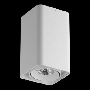 Накладной светильник Lightstar Monocco 052136-IP65 в Талице - talica.ok-mebel.com | фото 2