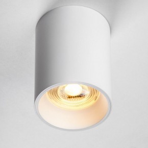 Накладной светильник Lightstar Rullo 213436 в Талице - talica.ok-mebel.com | фото 2