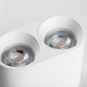 Накладной светильник Lightstar Rullo 213466 в Талице - talica.ok-mebel.com | фото 6