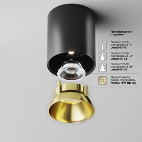 Накладной светильник Maytoni Alfa LED C064CL-12W4K-RD-B в Талице - talica.ok-mebel.com | фото 3