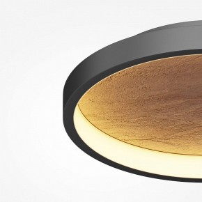 Накладной светильник Maytoni Orign MOD311CL-L40B3K в Талице - talica.ok-mebel.com | фото 3