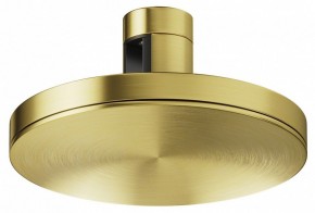 Накладной светильник Maytoni Plato TR152-1-7W4K-BS в Талице - talica.ok-mebel.com | фото