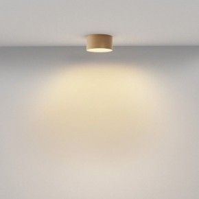 Накладной светильник Maytoni Zon C032CL-12W2.7K-RD-MG в Талице - talica.ok-mebel.com | фото 4