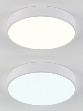 Накладной светильник Natali Kovaltseva  LED LAMPS 81111/5C в Талице - talica.ok-mebel.com | фото 4