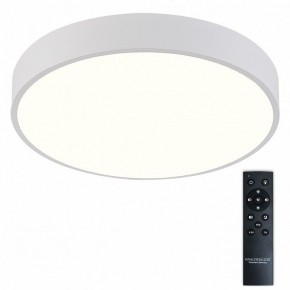 Накладной светильник Natali Kovaltseva  LED LAMPS 81112/5C в Талице - talica.ok-mebel.com | фото 2