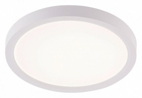 Накладной светильник Natali Kovaltseva PLAIN LED LAMPS 81113/1C в Талице - talica.ok-mebel.com | фото