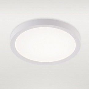 Накладной светильник Natali Kovaltseva PLAIN LED LAMPS 81113/1C в Талице - talica.ok-mebel.com | фото 2