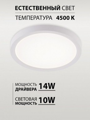 Накладной светильник Natali Kovaltseva PLAIN LED LAMPS 81113/1C в Талице - talica.ok-mebel.com | фото 4