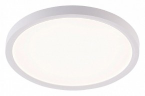 Накладной светильник Natali Kovaltseva PLAIN LED LAMPS 81113/2C в Талице - talica.ok-mebel.com | фото