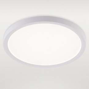 Накладной светильник Natali Kovaltseva PLAIN LED LAMPS 81113/2C в Талице - talica.ok-mebel.com | фото 2