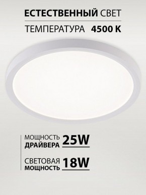 Накладной светильник Natali Kovaltseva PLAIN LED LAMPS 81113/2C в Талице - talica.ok-mebel.com | фото 3