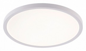 Накладной светильник Natali Kovaltseva PLAIN LED LAMPS 81113/3C в Талице - talica.ok-mebel.com | фото