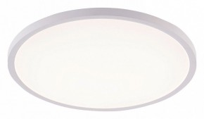 Накладной светильник Natali Kovaltseva PLAIN LED LAMPS 81113/5C в Талице - talica.ok-mebel.com | фото