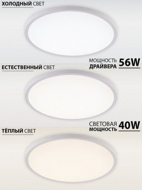 Накладной светильник Natali Kovaltseva PLAIN LED LAMPS 81113/5C в Талице - talica.ok-mebel.com | фото 3