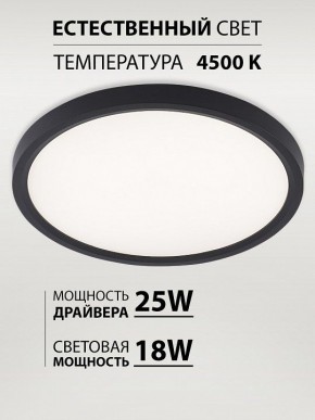 Накладной светильник Natali Kovaltseva PLAIN LED LAMPS 81114/2C в Талице - talica.ok-mebel.com | фото 3