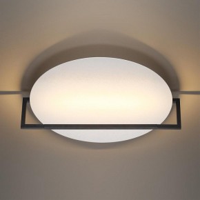 Накладной светильник Odeon Light Next 7015/20WL в Талице - talica.ok-mebel.com | фото 2