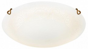 Накладной светильник Sonex Ammonite 7602/DL в Талице - talica.ok-mebel.com | фото 3