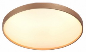 Накладной светильник Sonex Gaby 7783/EL в Талице - talica.ok-mebel.com | фото 5