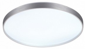 Накладной светильник Sonex Gaby 7784/EL в Талице - talica.ok-mebel.com | фото 4