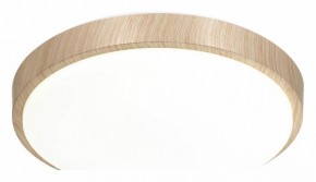 Накладной светильник Sonex Losta 7607/CL в Талице - talica.ok-mebel.com | фото 4