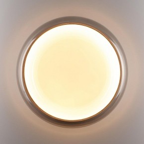 Накладной светильник Sonex PORTMAN 7777/DLN в Талице - talica.ok-mebel.com | фото 6