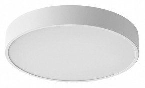 Накладной светильник Sonex Quasar 7755/36L в Талице - talica.ok-mebel.com | фото