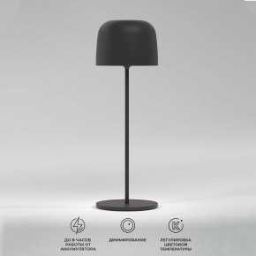 Настольная лампа декоративная Elektrostandard Bitty a069002 в Талице - talica.ok-mebel.com | фото 2