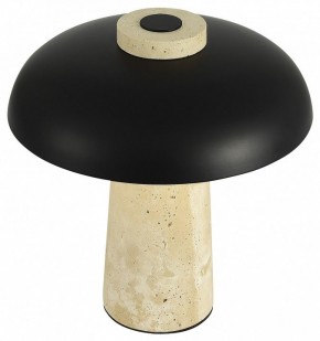 Настольная лампа декоративная ST-Luce Earthy SL1194.424.01 в Талице - talica.ok-mebel.com | фото 5