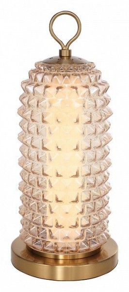 Настольная лампа декоративная ST-Luce SAGUARO SL6144.304.01 в Талице - talica.ok-mebel.com | фото 2