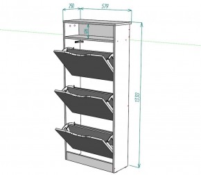 Обувница W10 (ДСС) в Талице - talica.ok-mebel.com | фото