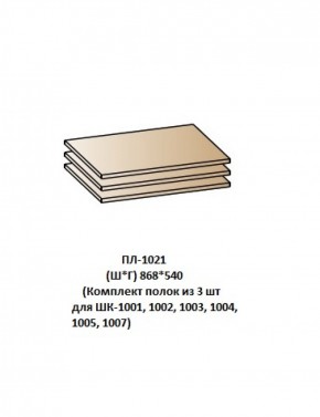 ПЛ-1021 (Комплект полок из 3 шт для ШК-1001, 1002, 1003, 1004, 1005, 1007) в Талице - talica.ok-mebel.com | фото