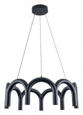 Подвесная люстра Arte Lamp Warhol A3258LM-45BK в Талице - talica.ok-mebel.com | фото 2
